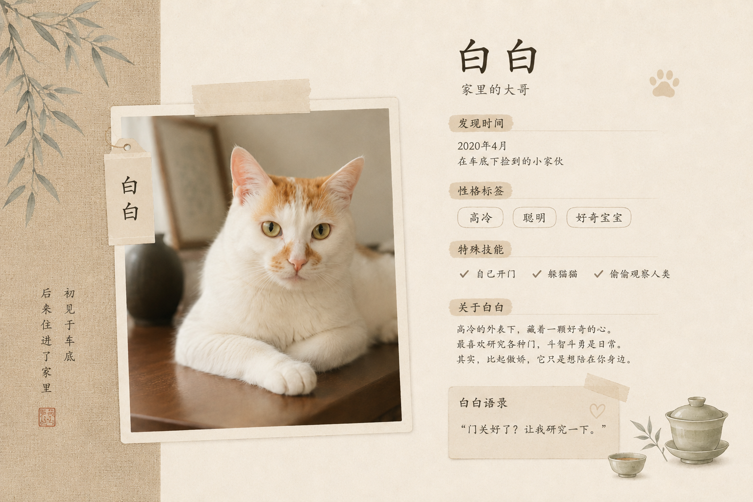 蛋白｜白白